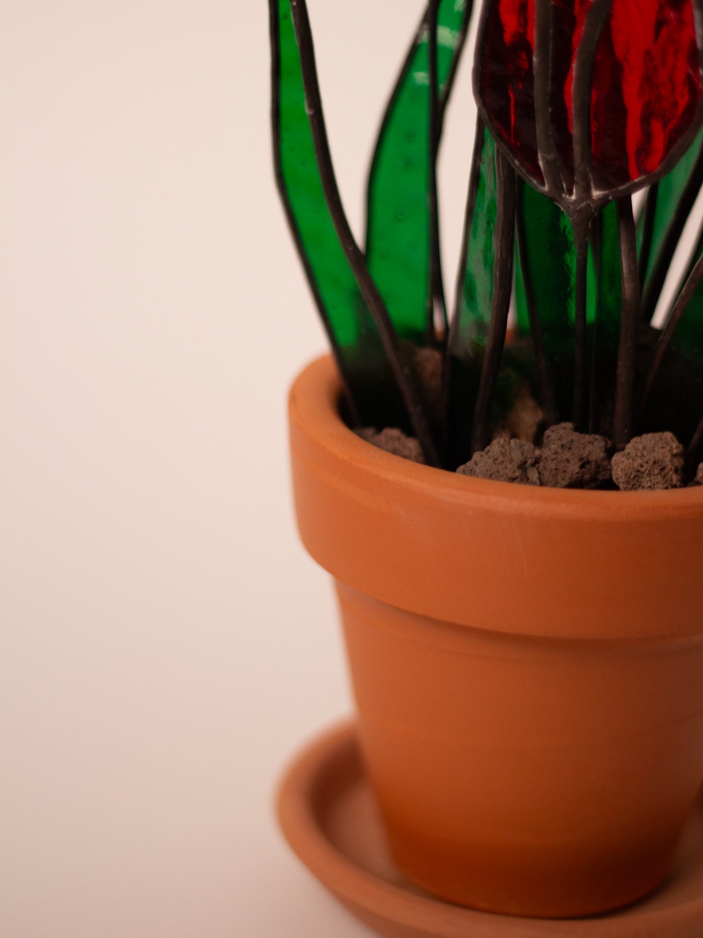 Tulipa - Vitray Çiçek