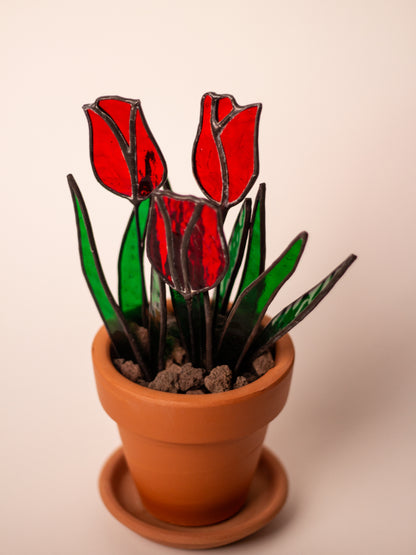Tulipa - Vitray Çiçek