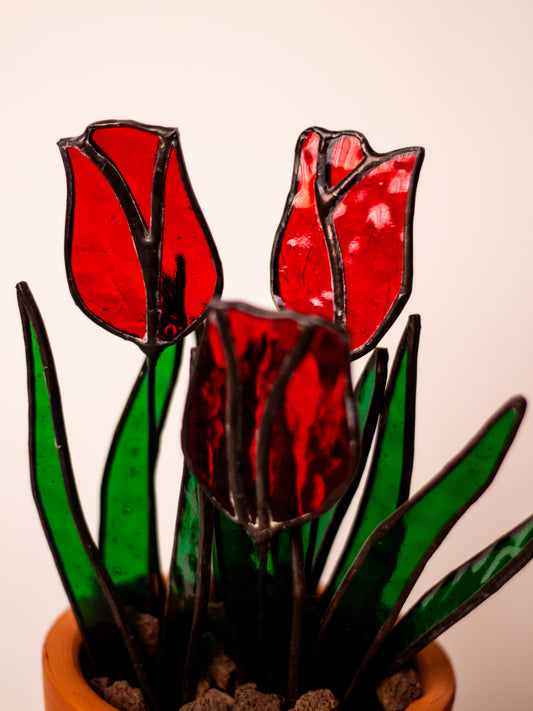 Tulipa - Vitray Çiçek