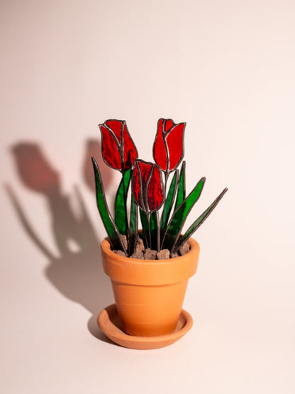 Tulipa - Vitray Çiçek
