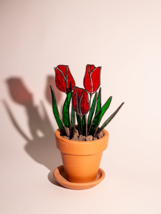 Tulipa - Vitray Çiçek