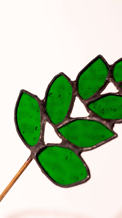 Verdant Curve - Vitray Yaprak