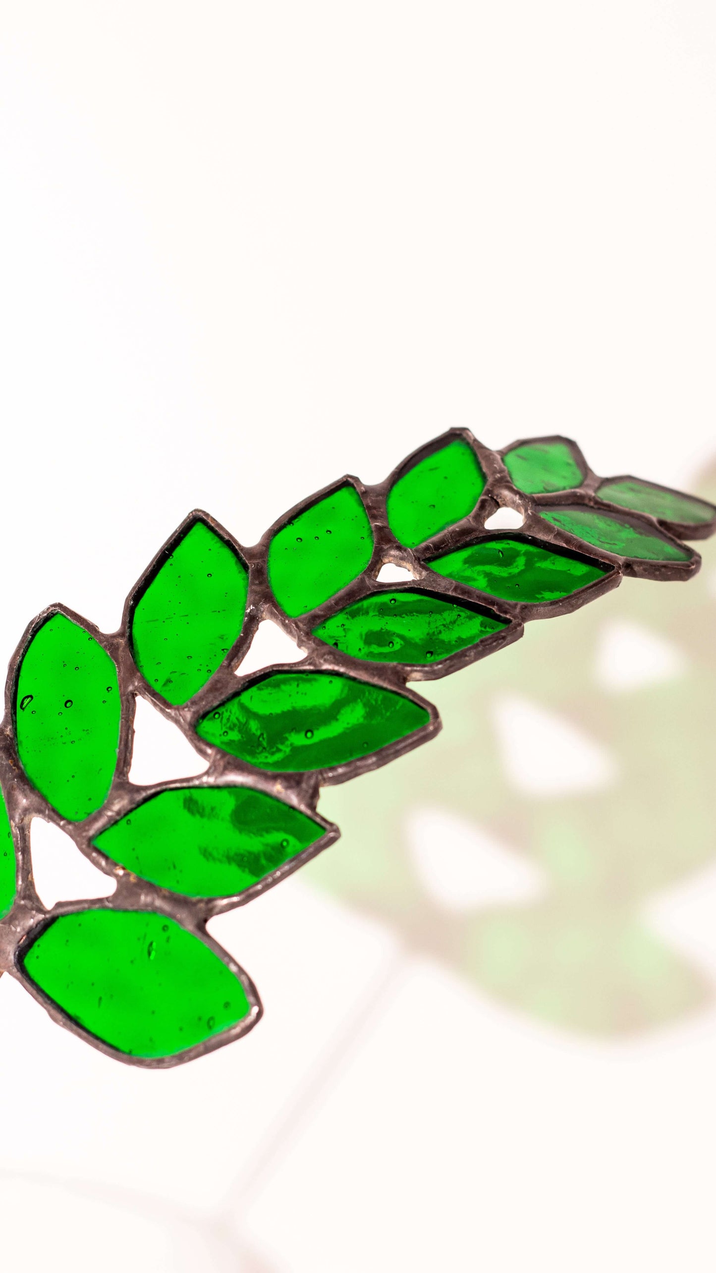 Verdant Curve - Vitray Yaprak