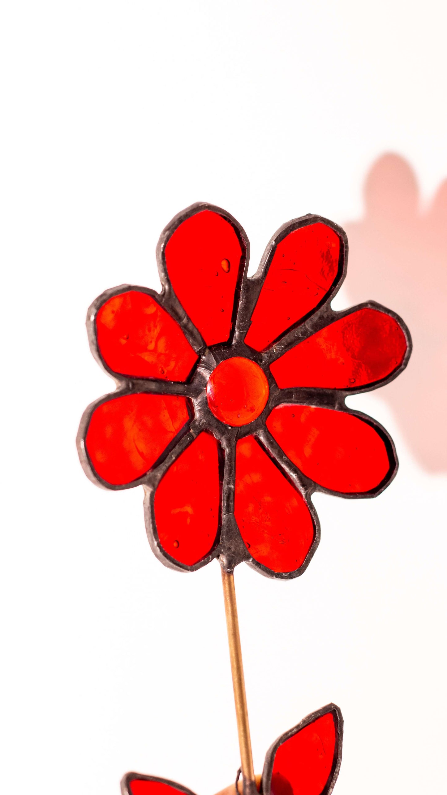 Scarlet Sun –Vitray Çiçek