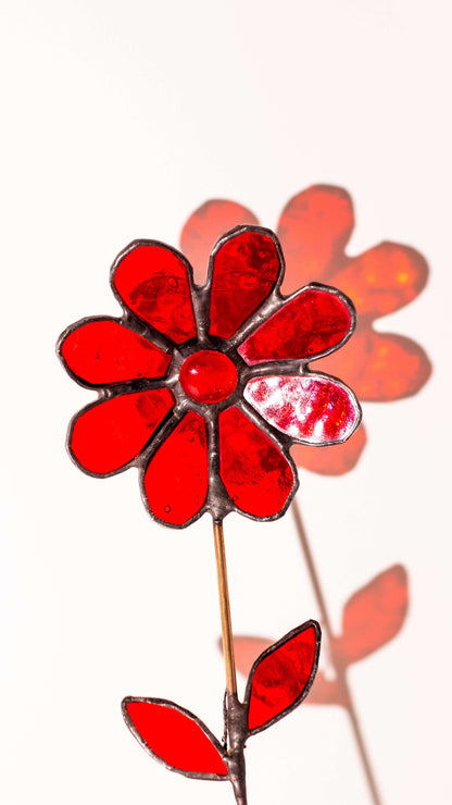 Scarlet Sun –Vitray Çiçek