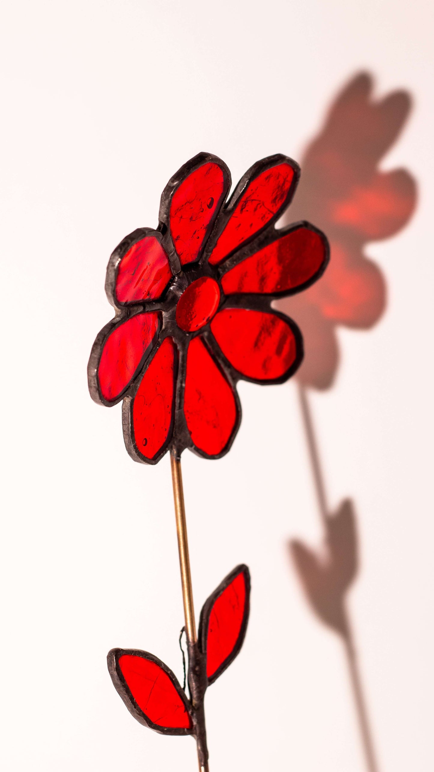 Scarlet Sun –Vitray Çiçek