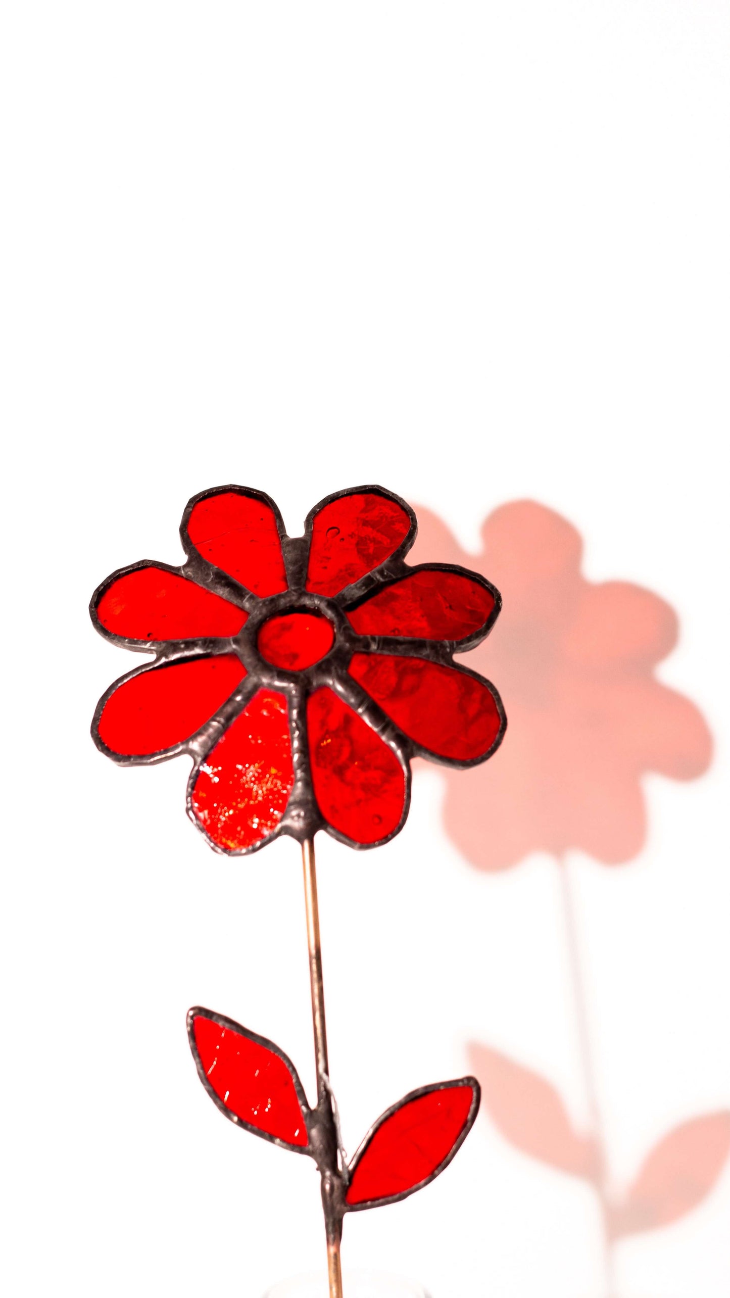 Scarlet Sun –Vitray Çiçek