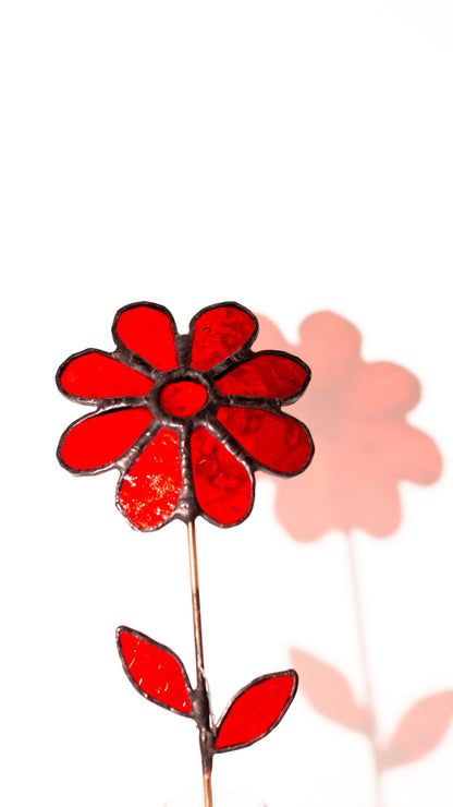 Scarlet Sun –Vitray Çiçek