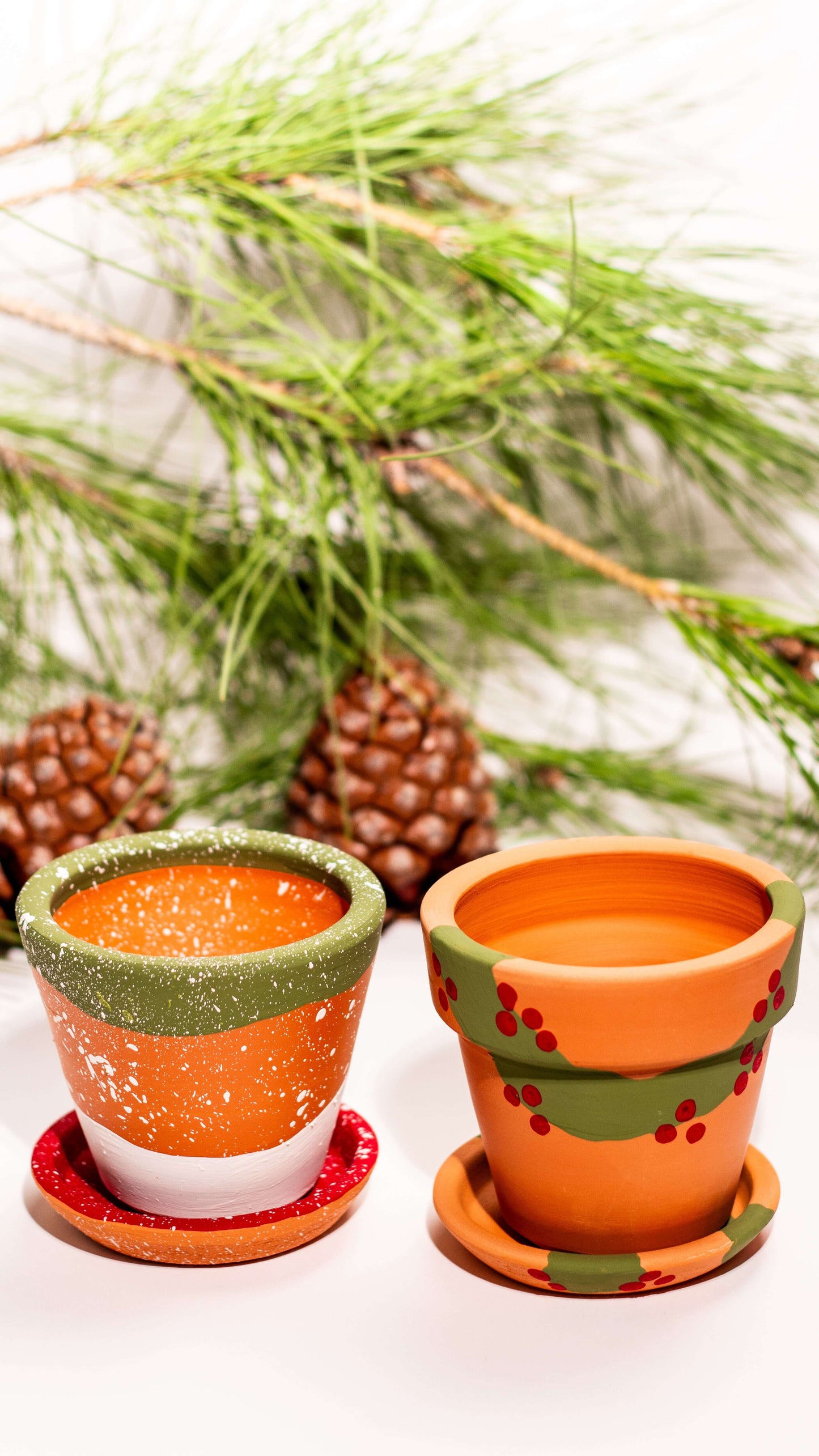 Yeni Yıl Saksı İkilisi – Terracotta Saksı Seti