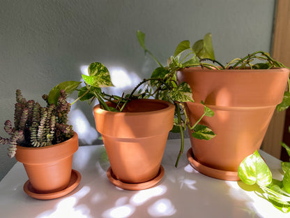 Terracotta Konik Saksı+Tabak • Lilanın Tonları