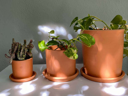 Terracotta Silindir Saksı+Tabak • Bordo Beyaz