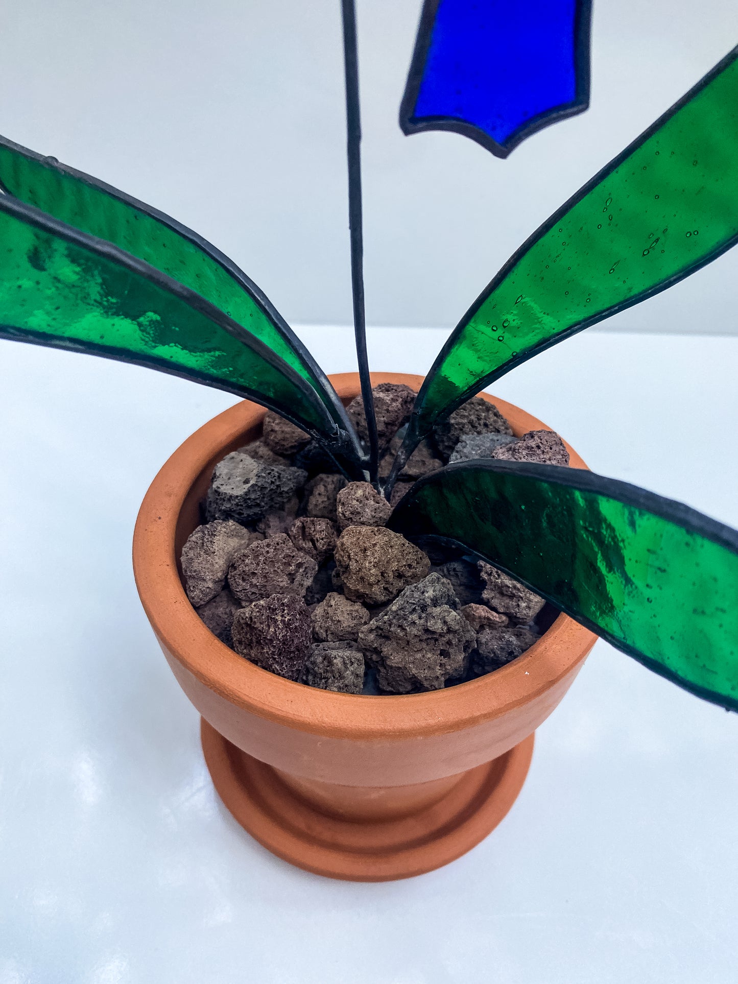 Bluebell – Vitray Çiçek