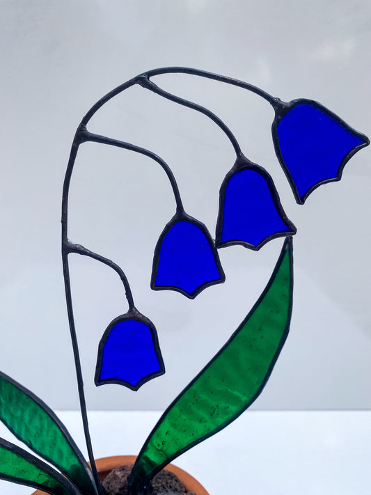 Bluebell – Vitray Çiçek