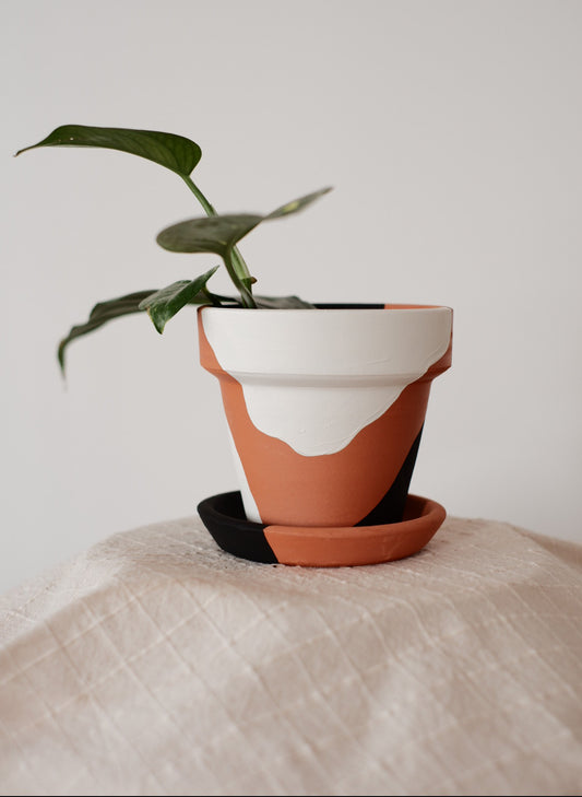 Terracotta Konik Saksı+Tabak • Siyah Beyaz Abstract