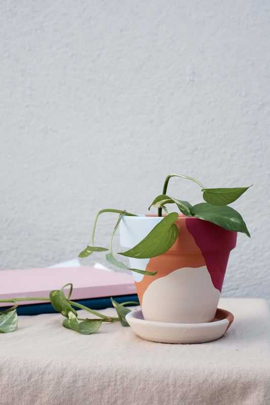 Terracotta Konik Saksı+Tabak • Vişne Mavi