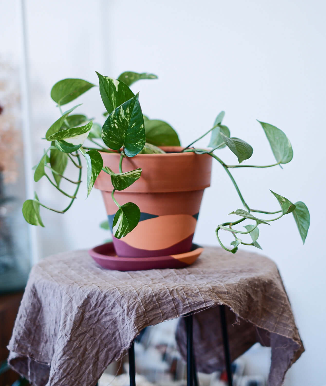 Terracotta Konik Saksı+Tabak • Waves
