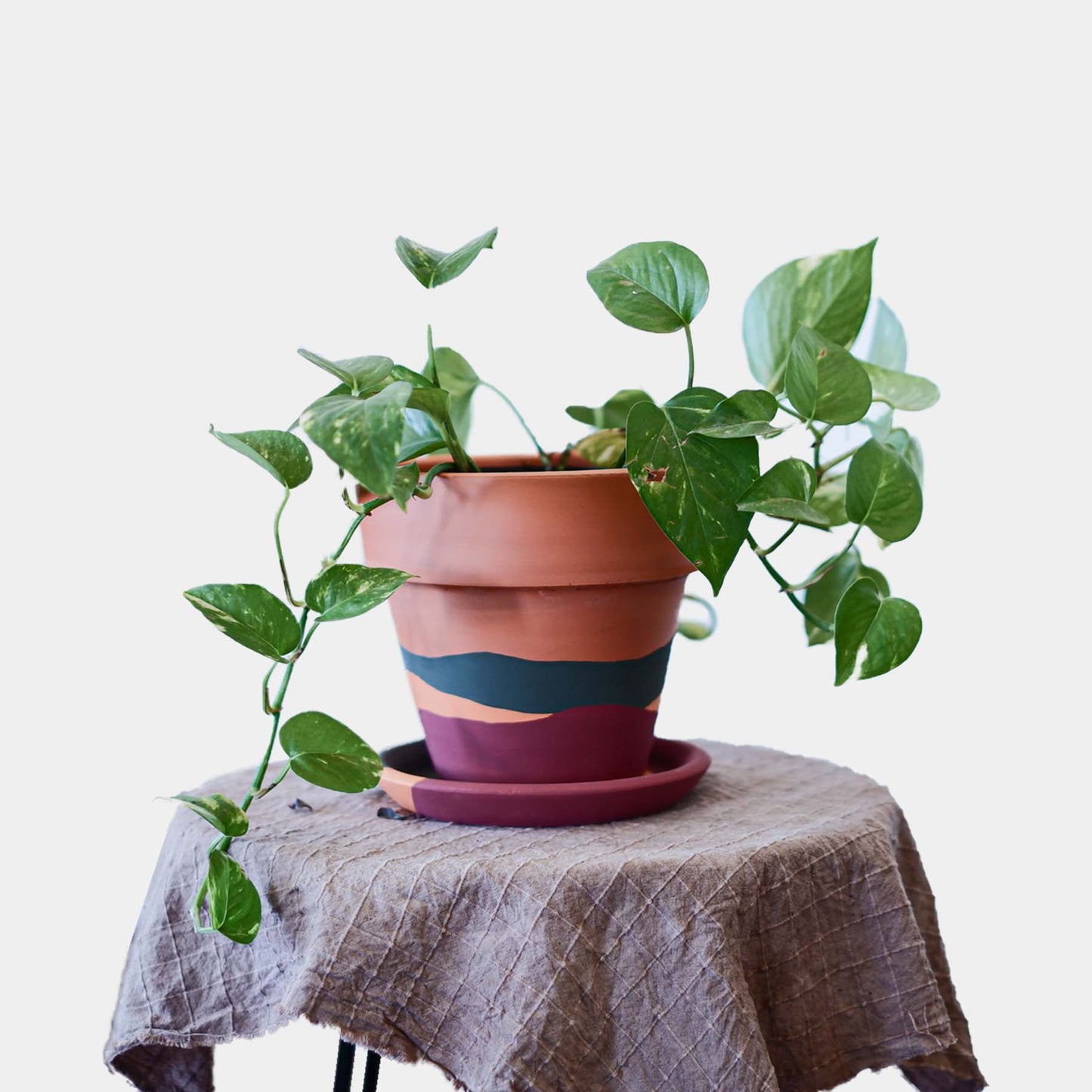 Terracotta Konik Saksı+Tabak • Waves