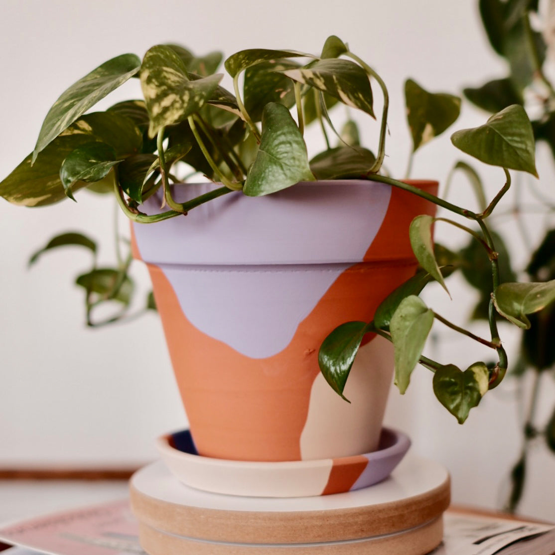 Terracotta Konik Saksı+Tabak • Lilanın Tonları