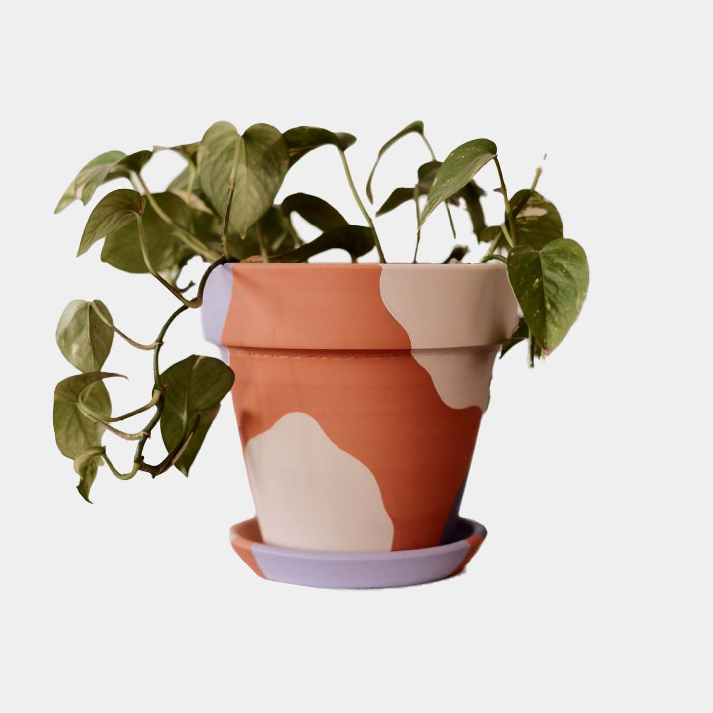 Terracotta Konik Saksı+Tabak • Lilanın Tonları