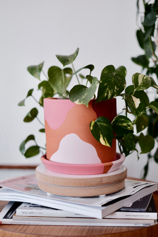 Terracotta Silindir Saksı+Tabak • Pembenin Tonları