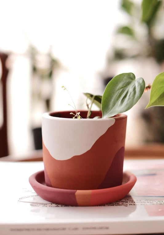 Terracotta Silindir Saksı+Tabak • Bordo Beyaz