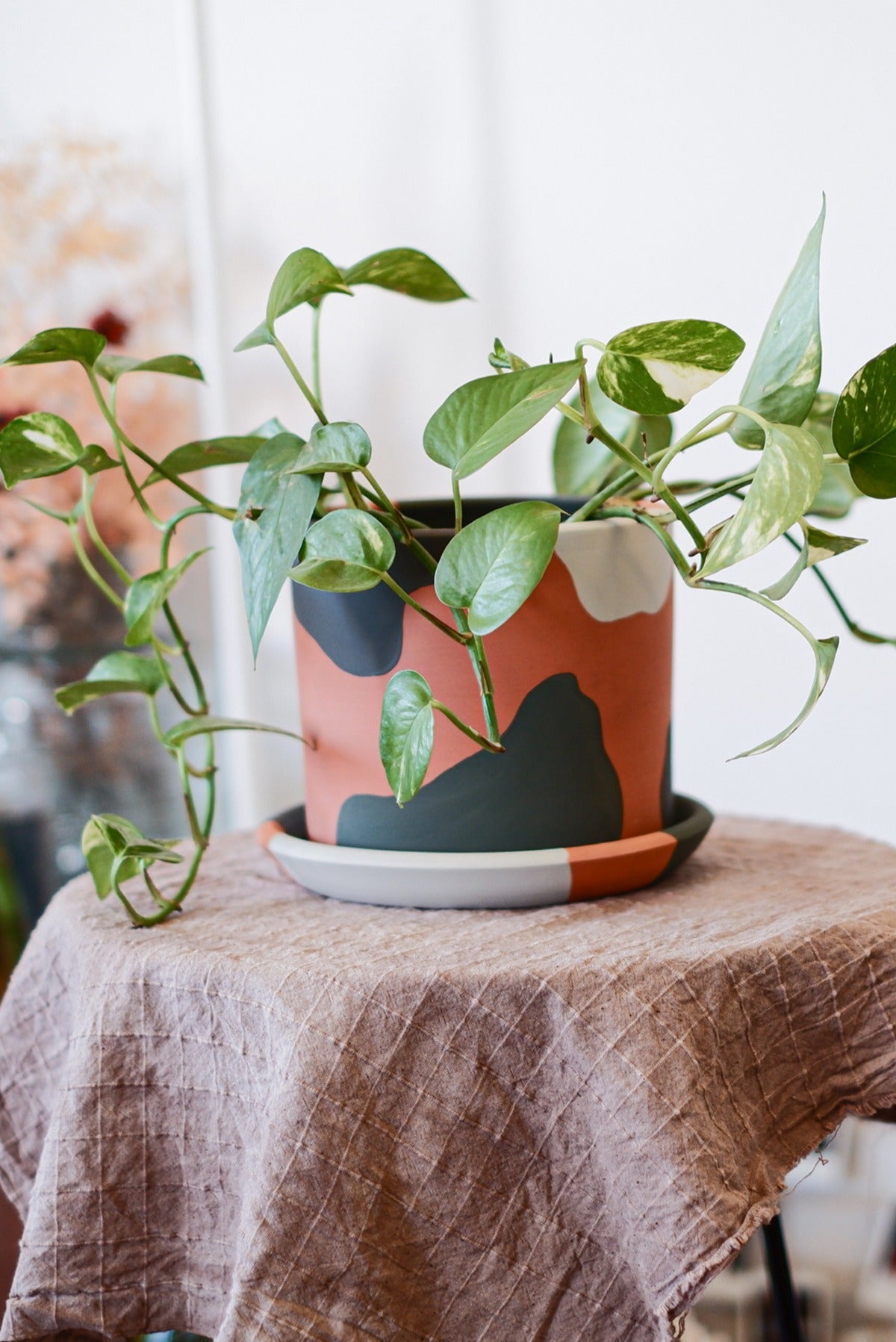 Terracotta Silindir Saksı+Tabak • Yeşilin Tonları