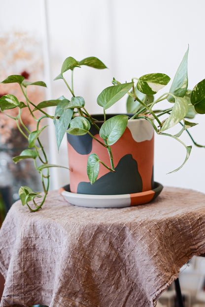 Terracotta Silindir Saksı+Tabak • Yeşilin Tonları